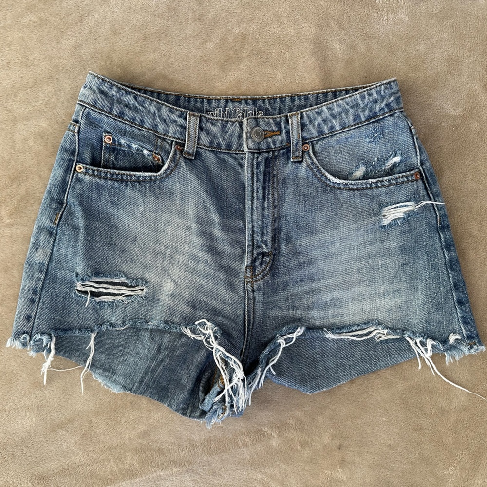 Blue Jean Shorts
Wild Fable
Size 2